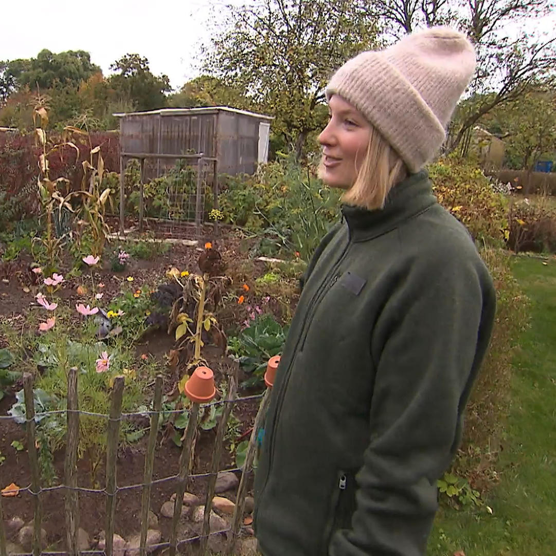 Radost zeigt ihren Schrebergarten: Wird ihr eigenes Obst und Gemüse zum Erfolgsrezept?