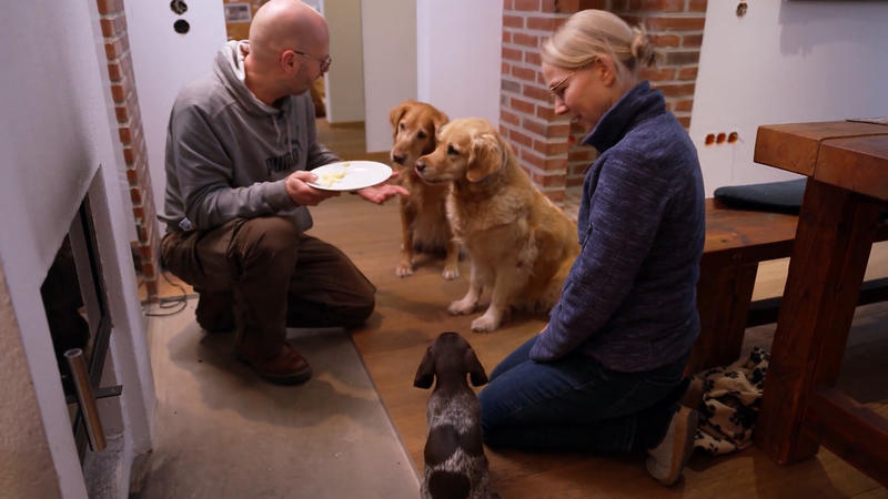 Die erste Nacht ist geschafft: Können für Welpe Mara jetzt die Abenteuer beginnen?