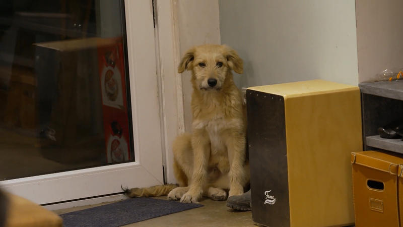 Neuzugang nicht erwünscht? Wie reagieren Nacho und Mr. Peaches auf Jabba?