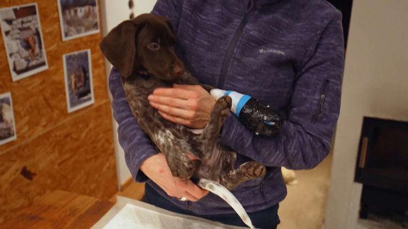 Mara lernt schnell dazu – doch wie schlimm war der Unfall mit der Haustür?