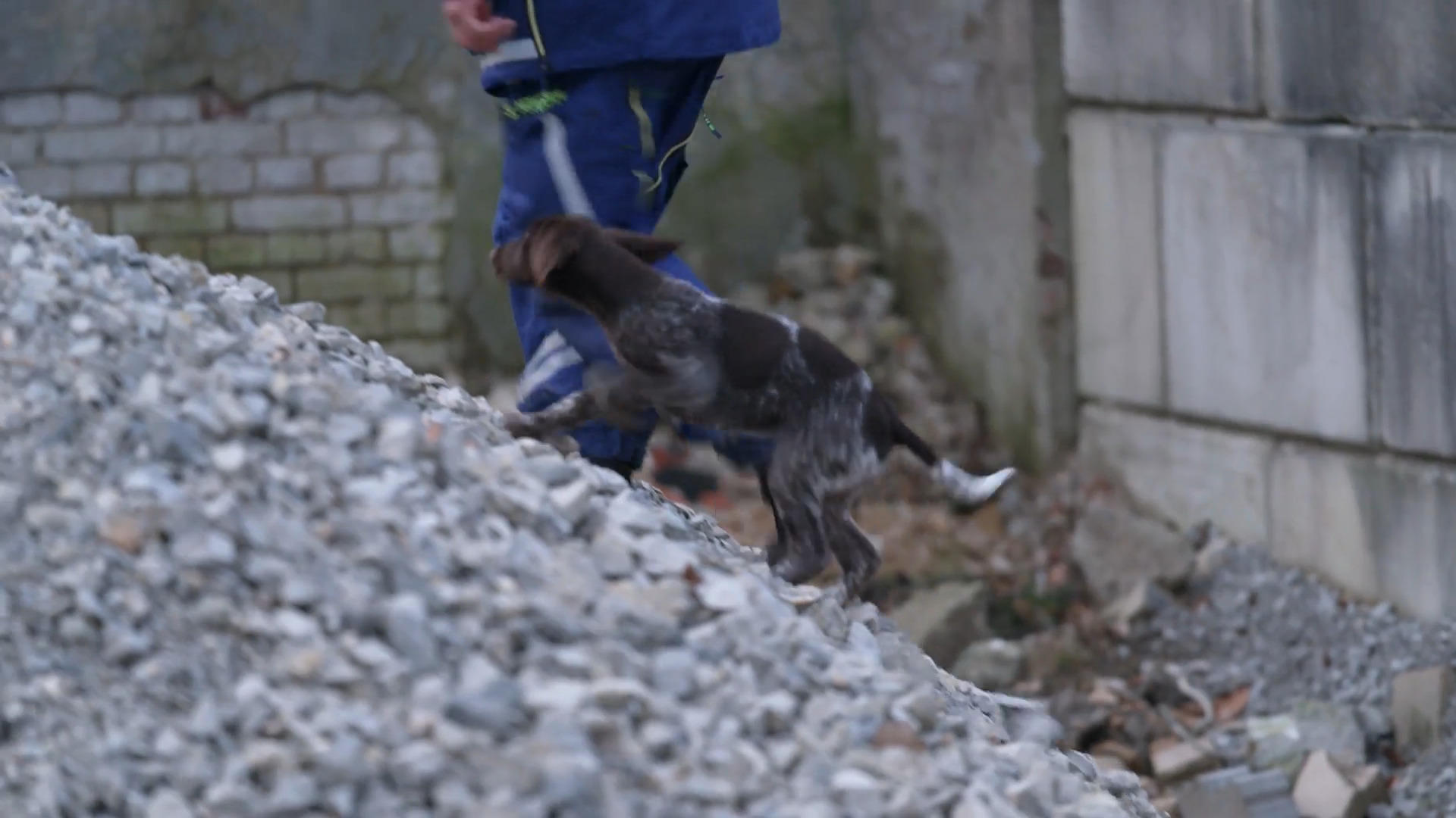 Wie schlägt sich die energiegeladene Mara beim THW?
