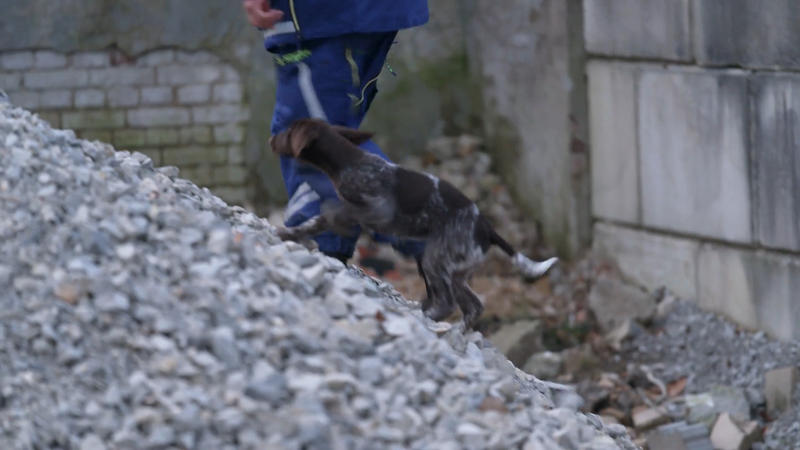 Wie schlägt sich die energiegeladene Mara beim THW?