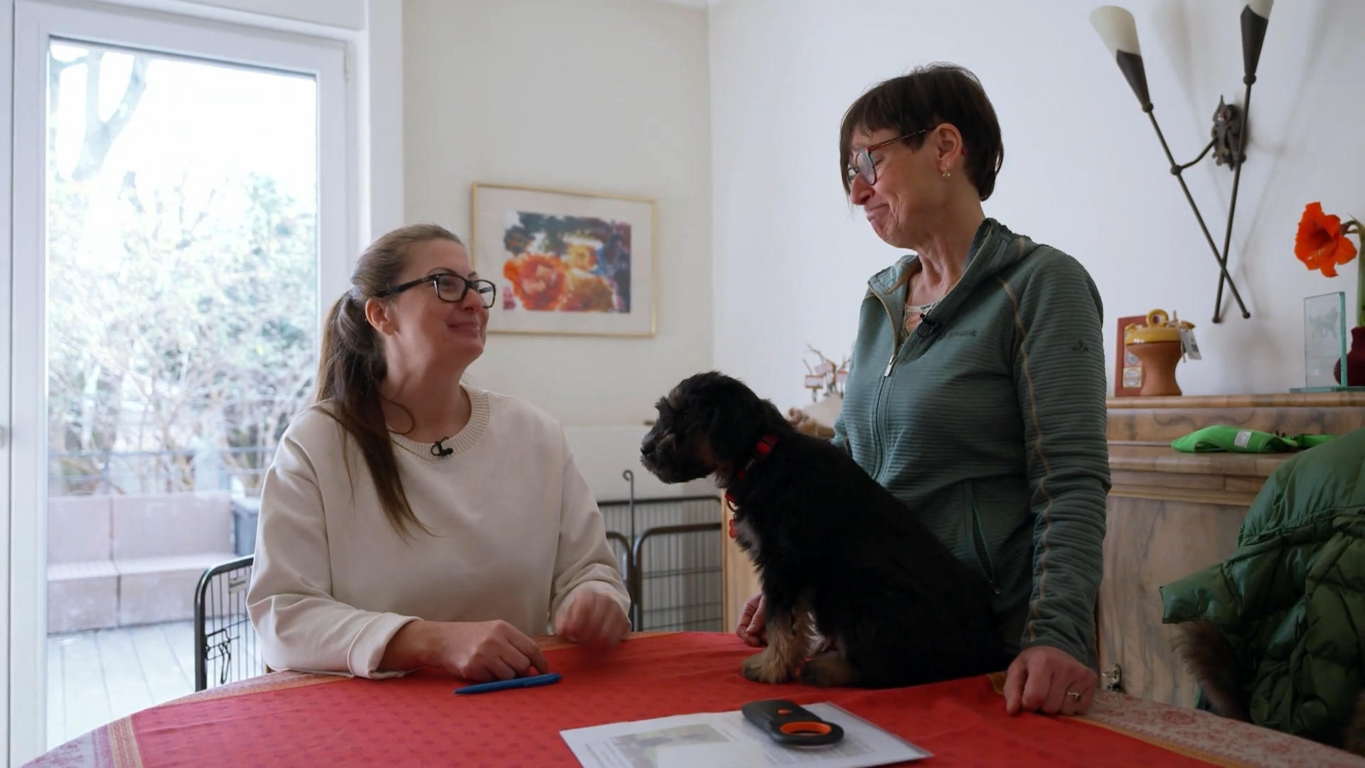 Nicole holt Nika ab: Wie startet das neue Familienmitglied in sein großes Abenteuer?