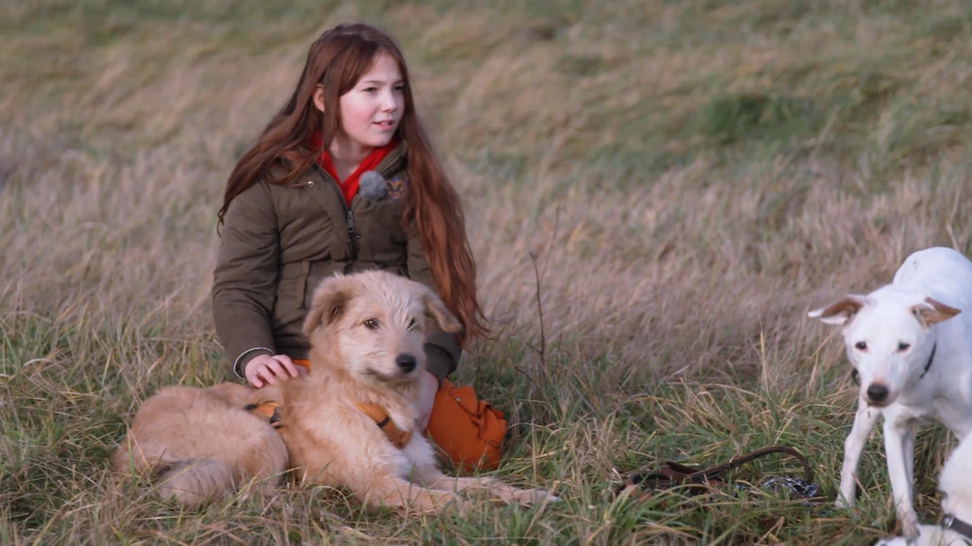 Seniorenhunde, neues Zuhause, neue Regeln: Wie gut ist Jabba inzwischen angekommen?