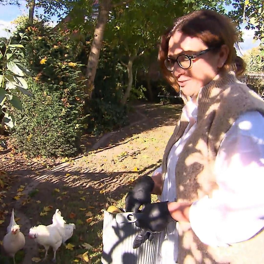 Die Hühner müssen bei Laune gehalten werden