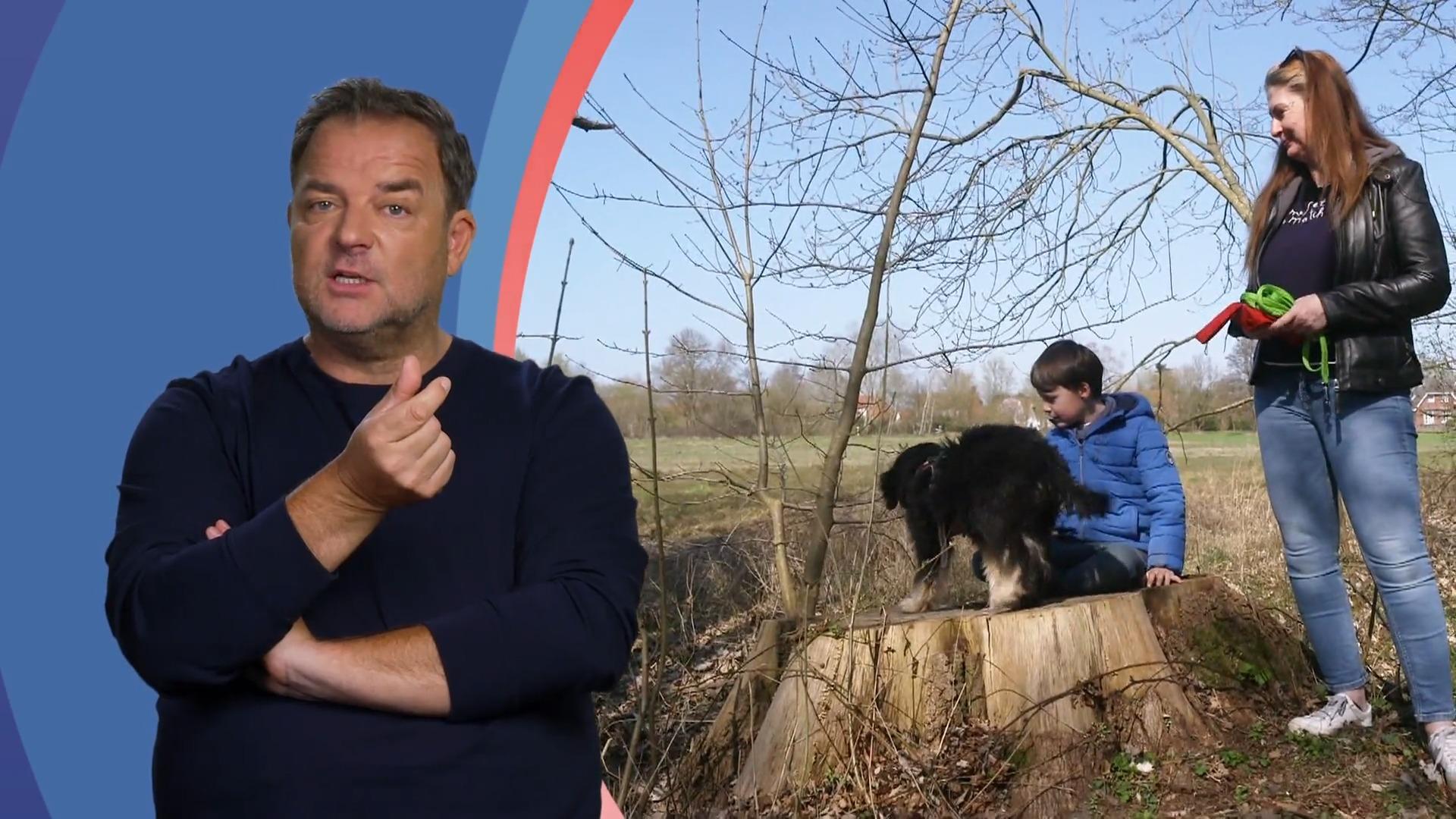 Martin Rütter zweifelt an Nicoles Training