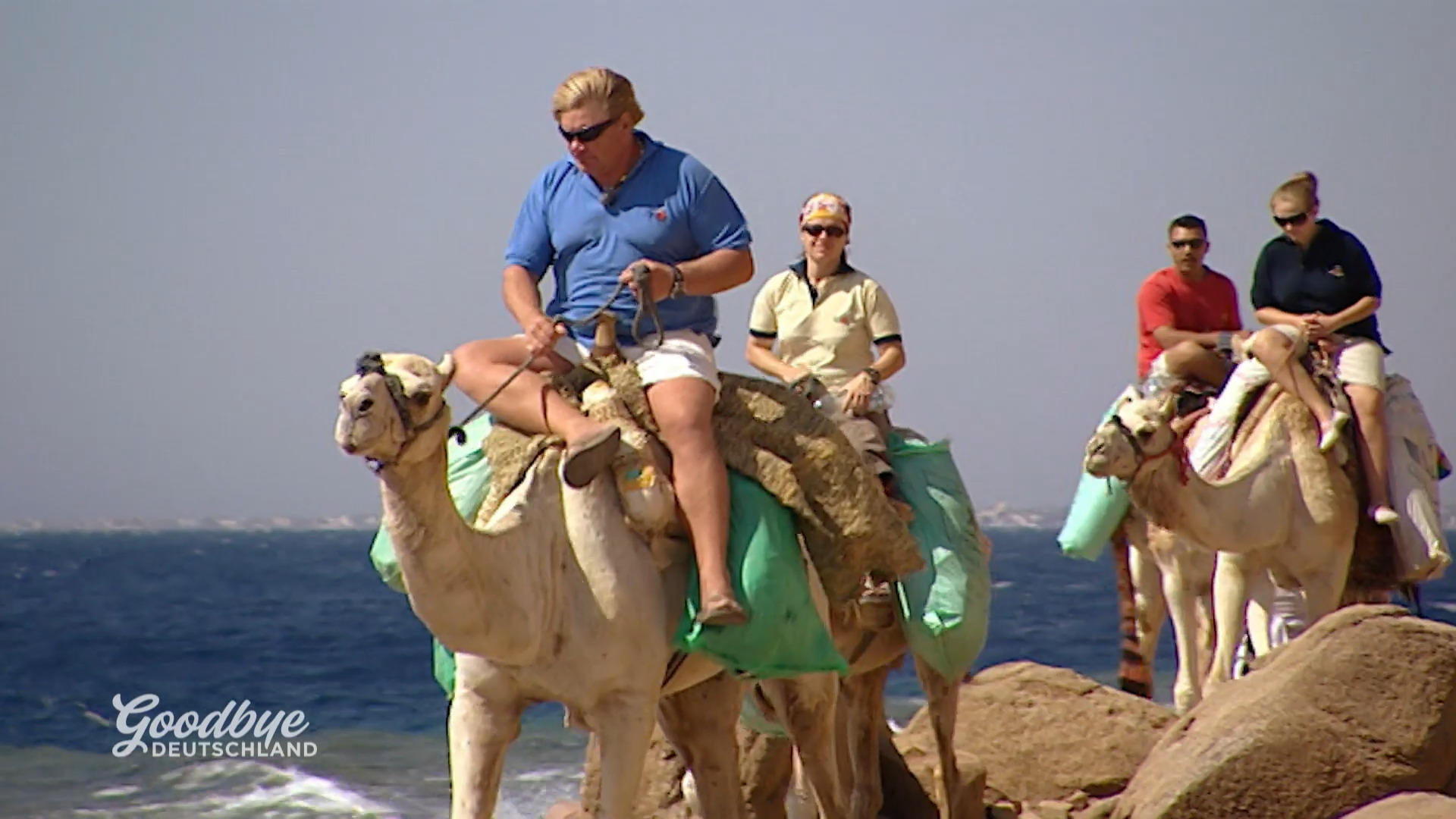 Für Kathrin beginnt in Dahab ein harter Tag – gelingt die Vorbereitung der Kamelsafari?