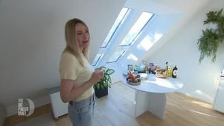 Dekoprofis - zum Kochen verdonnert!