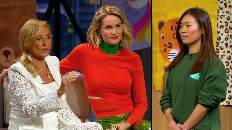 Überzeugen Feis Tiermatten die Löwen zum Deal?