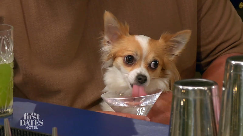 Sina und Michael treffen sich überraschend – mit Lola funkt es sofort